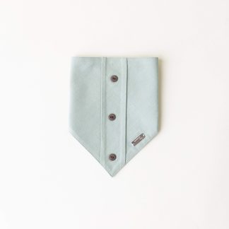 Bougie Pups Bandana in Santa Monica Boy