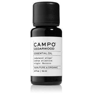 Campo Essential Oil in Cedarwood Atlas