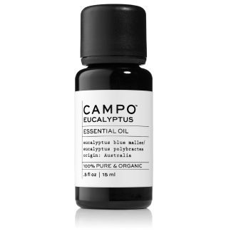 Campo Essential Oil in Eucalyptus