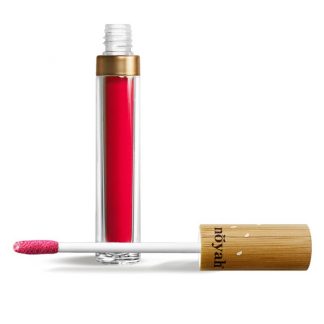 Noyah Lip Gloss in Burlesque