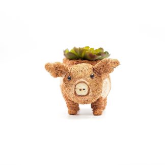 LIKHÂ Animal Planter in Baby Pig