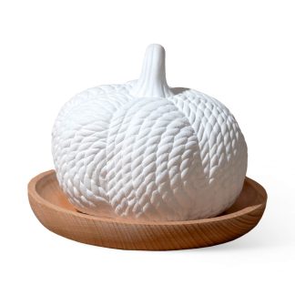 Plant Therapy Passive Diffuser in Pumpkin